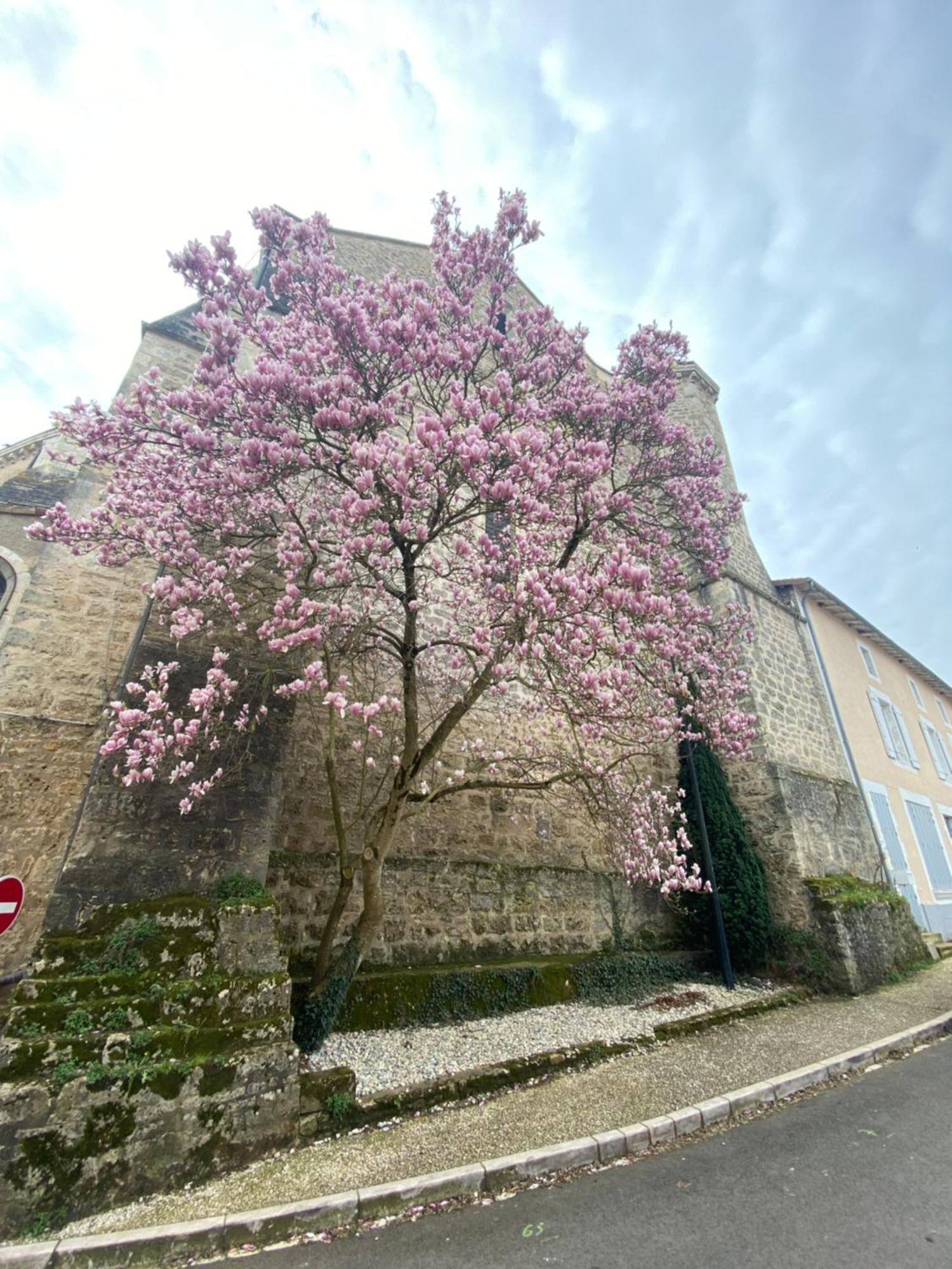 Logis Hotel Le Saint Georges Vivonne Kültér fotó